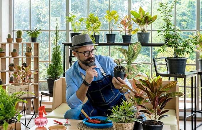 decoradhouse garden tips by decoratoradvice