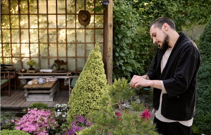 decadgarden yard tips by decoratoradvice