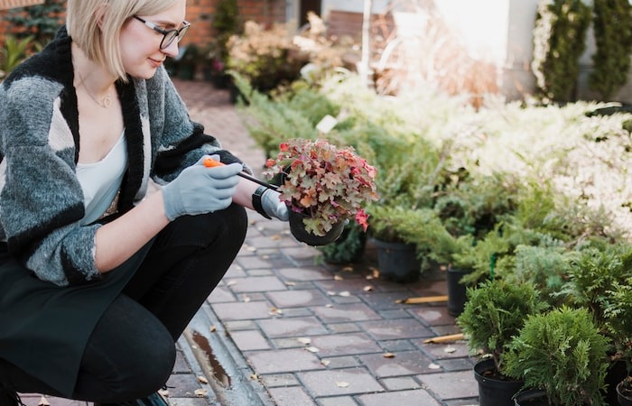 decoradyard garden tips by decoratoradvice